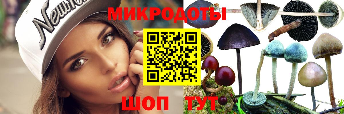 Сосновый Бор  Галлюциногенные грибы прущие грибы  Вход с VPN 